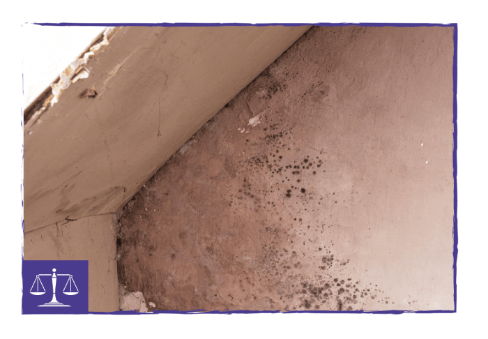 Housing Disrepair Housing Disrepair